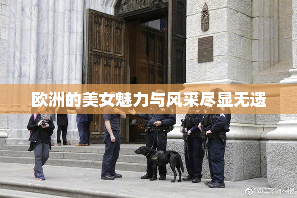 欧洲的美女魅力与风采尽显无遗