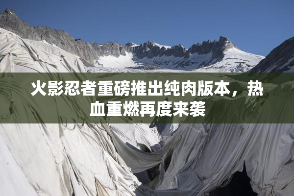 火影忍者重磅推出纯肉版本，热血重燃再度来袭