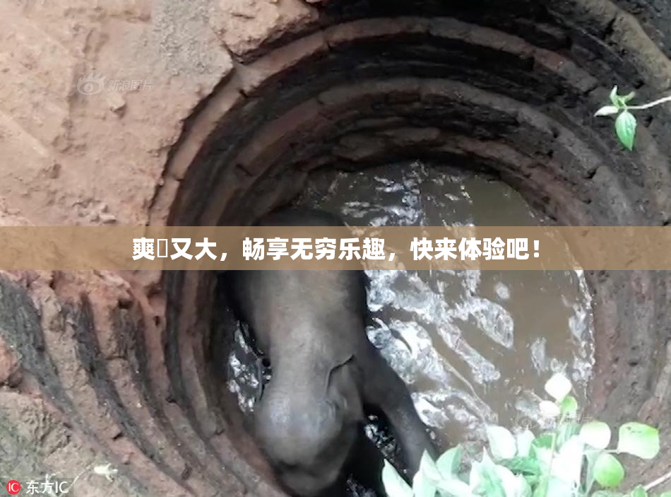 爽擼又大，畅享无穷乐趣，快来体验吧！