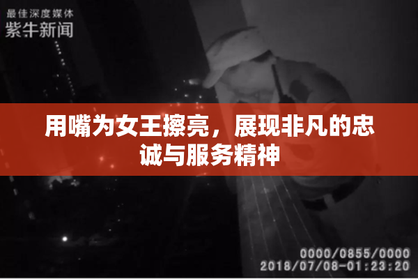 用嘴为女王擦亮，展现非凡的忠诚与服务精神