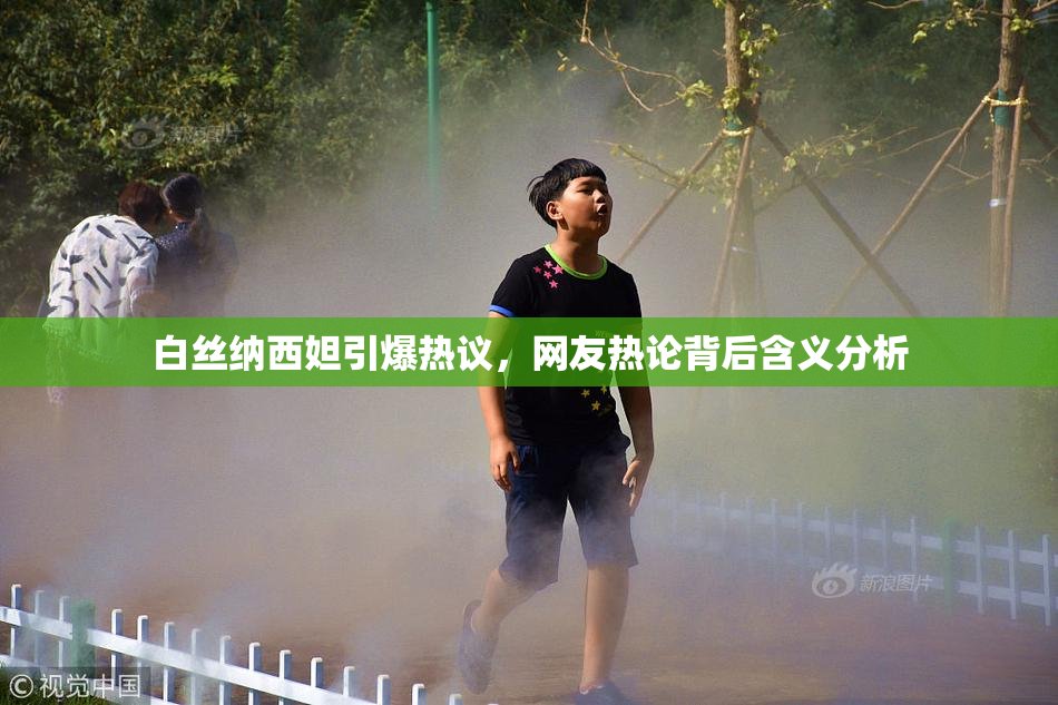 白丝纳西妲引爆热议，网友热论背后含义分析