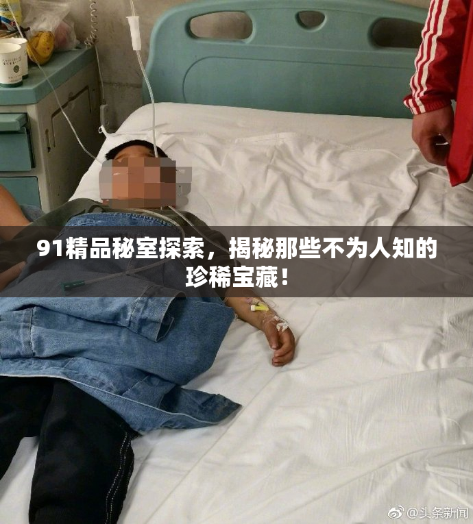 91精品秘室探索，揭秘那些不为人知的珍稀宝藏！