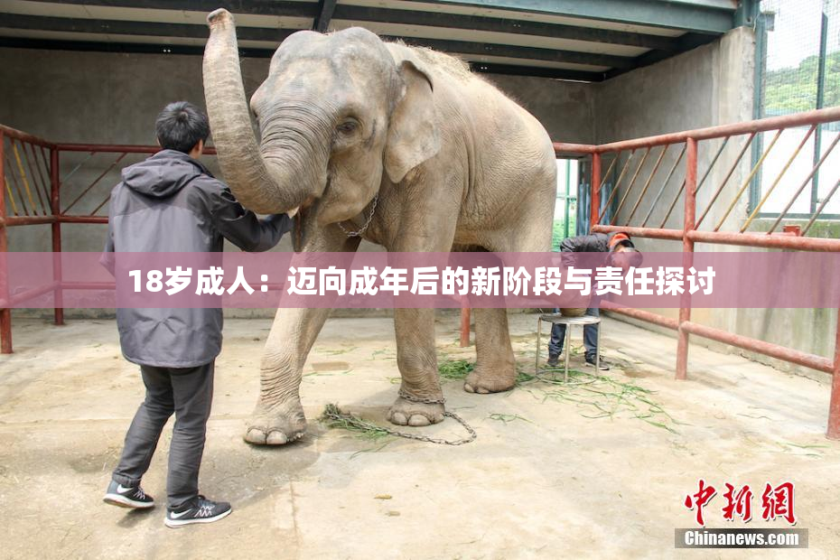 18岁成人：迈向成年后的新阶段与责任探讨