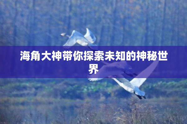 海角大神带你探索未知的神秘世界