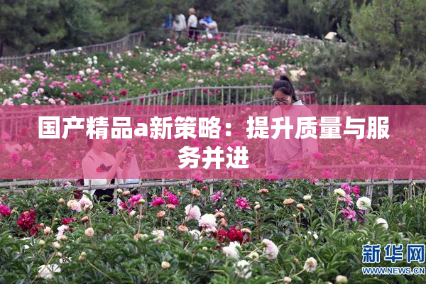 国产精品a新策略：提升质量与服务并进