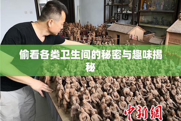 偷看各类卫生间的秘密与趣味揭秘