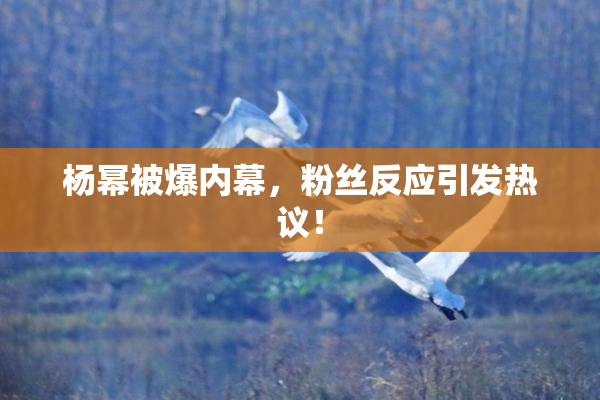 杨幂被爆内幕，粉丝反应引发热议！