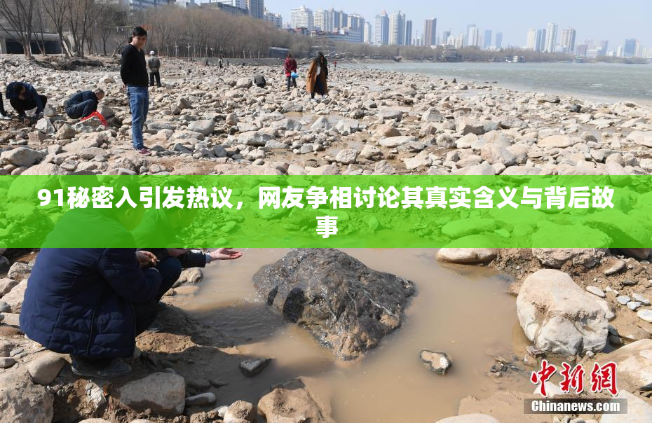 91秘密入引发热议，网友争相讨论其真实含义与背后故事