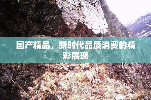 国产精品，新时代品质消费的精彩展现