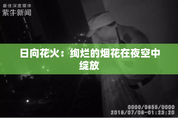日向花火：绚烂的烟花在夜空中绽放