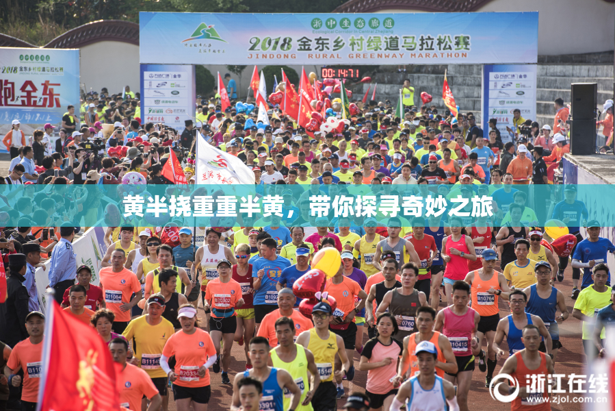 黄半挠重重半黄，带你探寻奇妙之旅