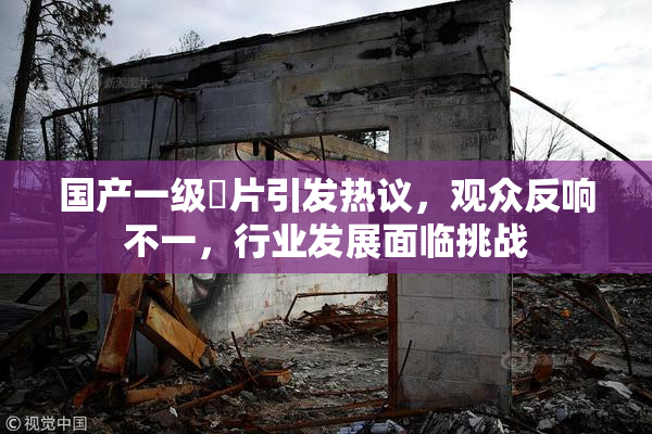 国产一级婬片引发热议，观众反响不一，行业发展面临挑战