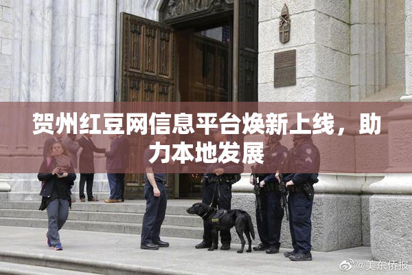 贺州红豆网信息平台焕新上线，助力本地发展
