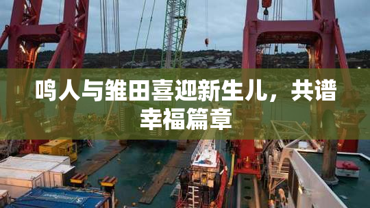 鸣人与雏田喜迎新生儿，共谱幸福篇章
