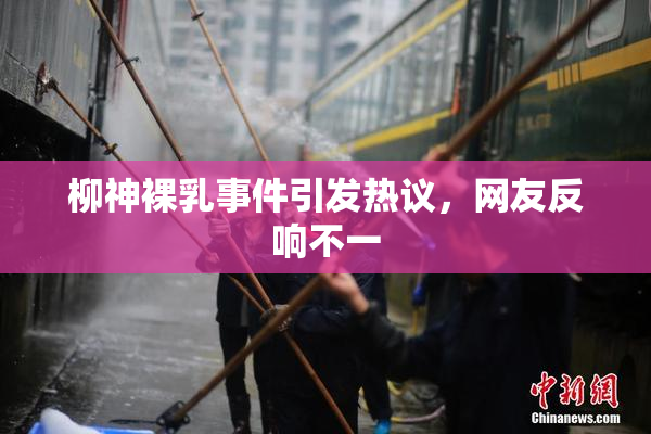 柳神裸乳事件引发热议，网友反响不一