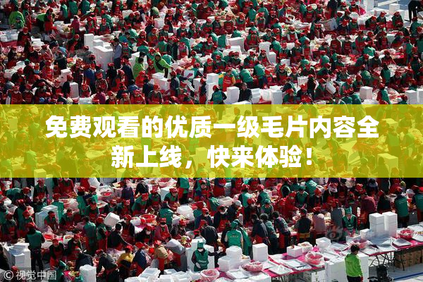 免费观看的优质一级毛片内容全新上线，快来体验！