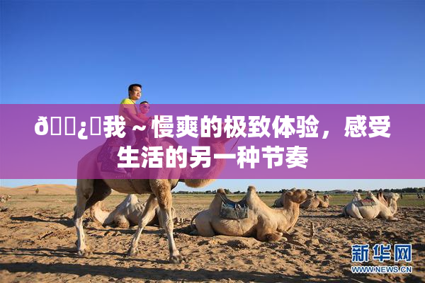 🌿‌我～慢爽的极致体验，感受生活的另一种节奏