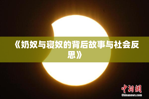 《奶奴与寝奴的背后故事与社会反思》