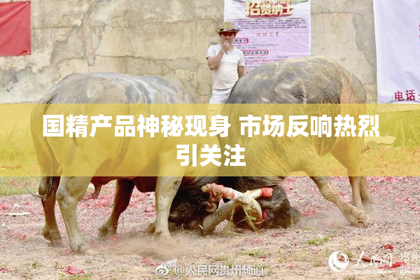 国精产品神秘现身 市场反响热烈引关注