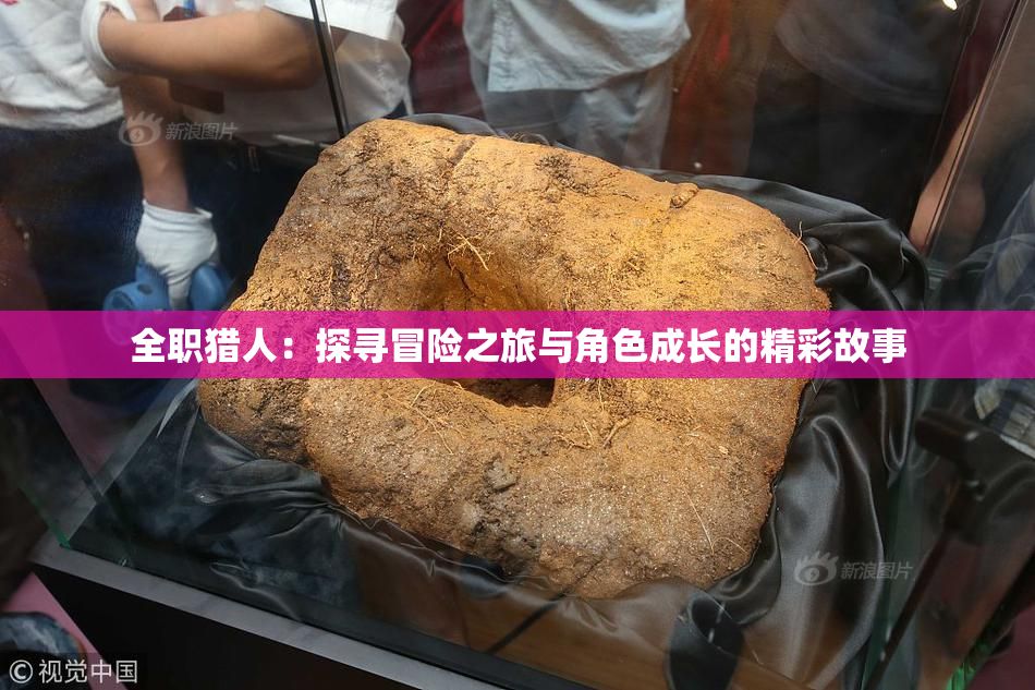 全职猎人：探寻冒险之旅与角色成长的精彩故事
