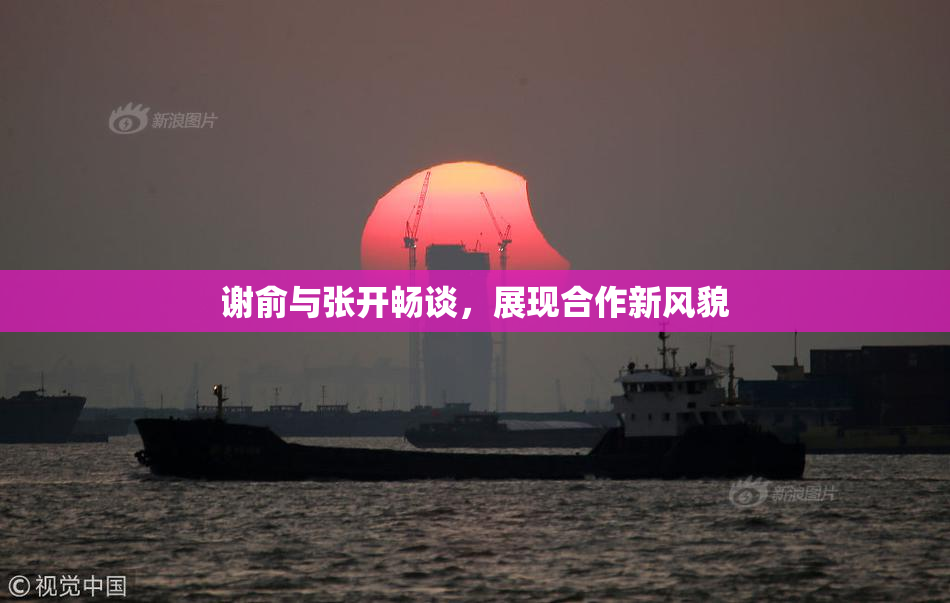 谢俞与张开畅谈，展现合作新风貌