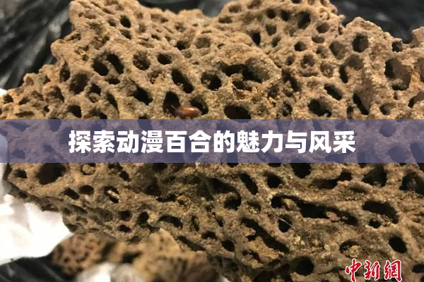探索动漫百合的魅力与风采