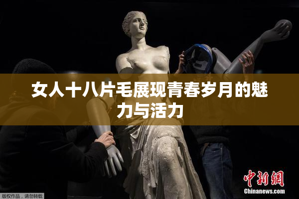 女人十八片毛展现青春岁月的魅力与活力