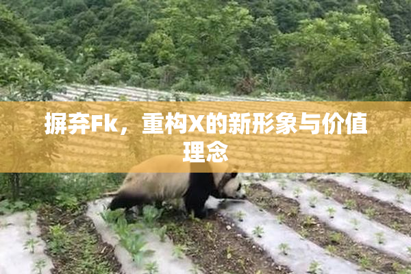 摒弃Fk，重构X的新形象与价值理念