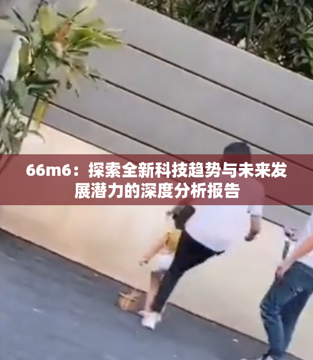 66m6：探索全新科技趋势与未来发展潜力的深度分析报告