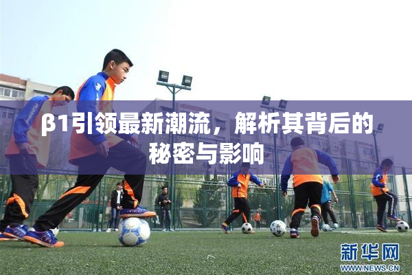 β1引领最新潮流，解析其背后的秘密与影响