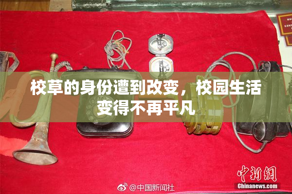 校草的身份遭到改变，校园生活变得不再平凡