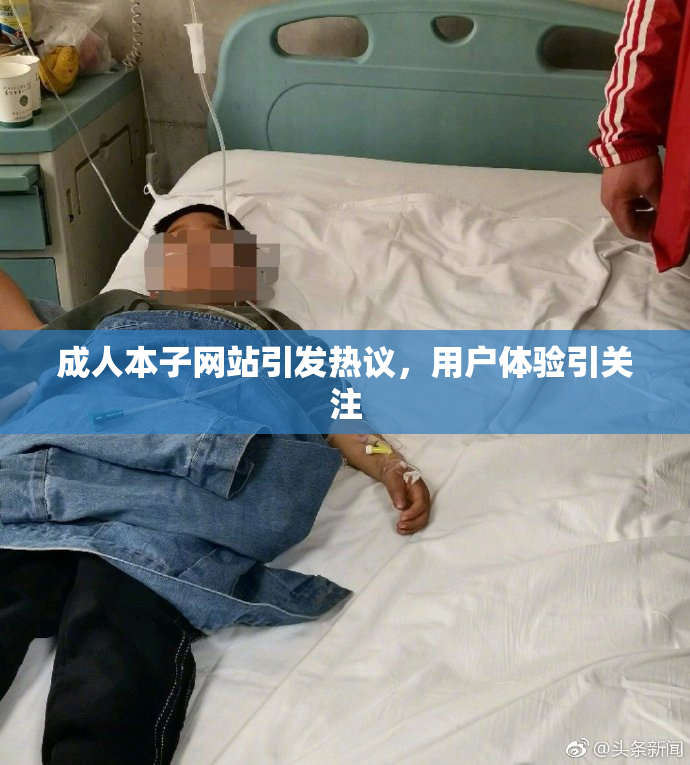 成人本子网站引发热议，用户体验引关注