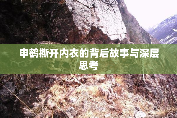 申鹤撕开内衣的背后故事与深层思考