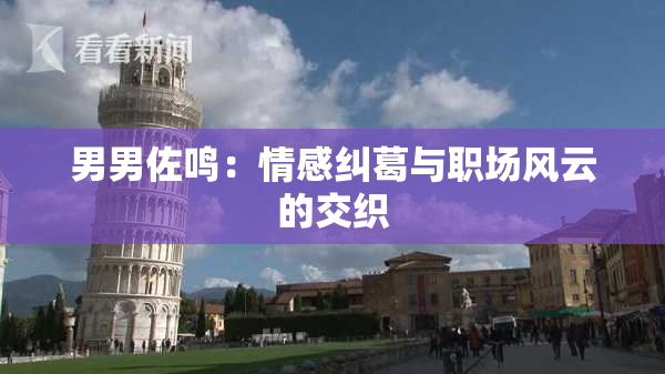 男男佐鸣：情感纠葛与职场风云的交织