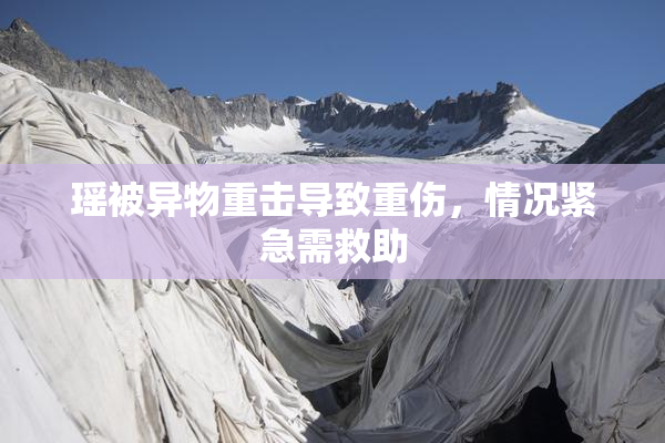 瑶被异物重击导致重伤，情况紧急需救助