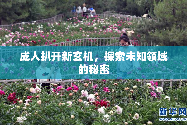 成人扒开新玄机，探索未知领域的秘密