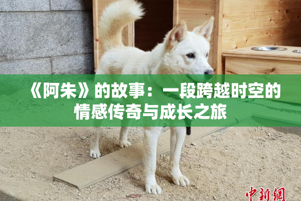 《阿朱》的故事：一段跨越时空的情感传奇与成长之旅