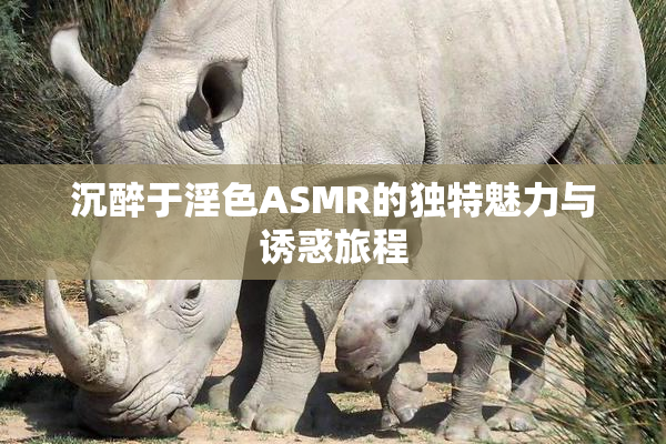 沉醉于淫色ASMR的独特魅力与诱惑旅程