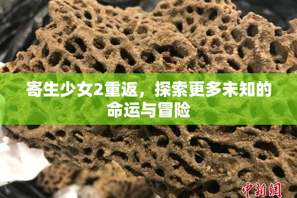寄生少女2重返，探索更多未知的命运与冒险