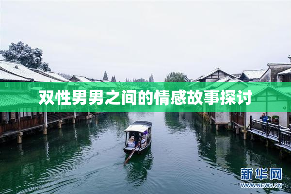 双性男男之间的情感故事探讨