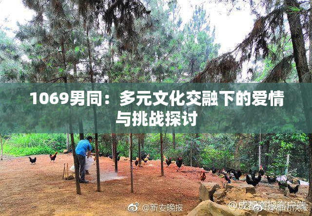 1069男同：多元文化交融下的爱情与挑战探讨