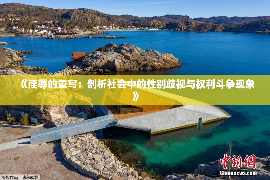 《淫辱的重写：剖析社会中的性别歧视与权利斗争现象》