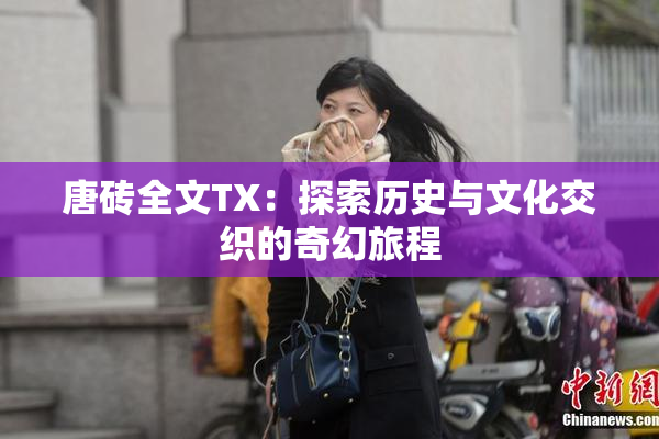 唐砖全文TX：探索历史与文化交织的奇幻旅程