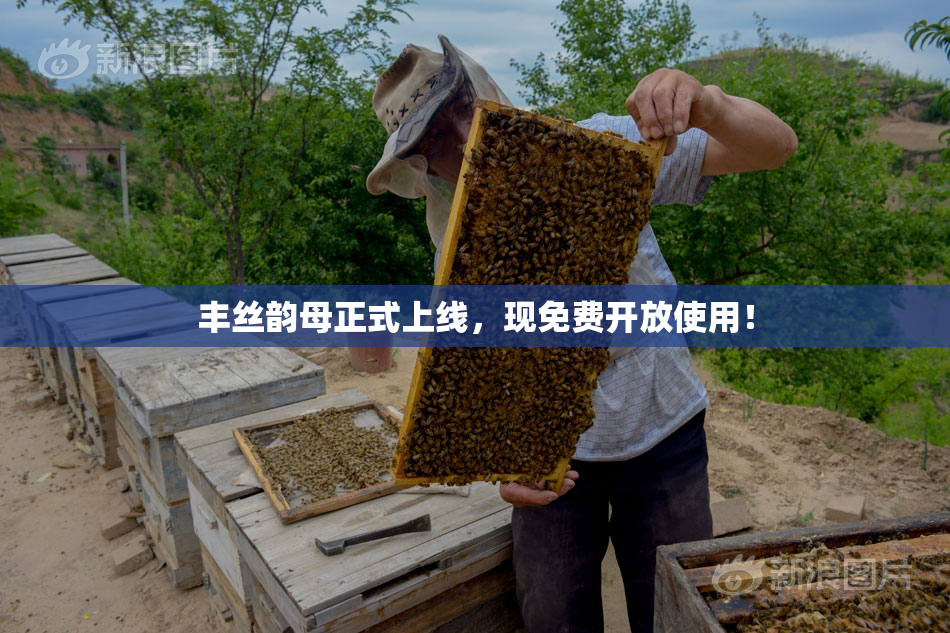丰丝韵母正式上线，现免费开放使用！
