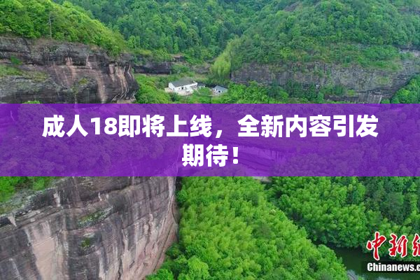 成人18即将上线，全新内容引发期待！