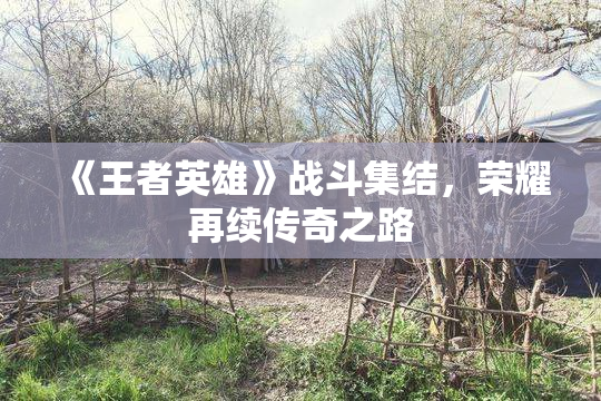 《王者英雄》战斗集结，荣耀再续传奇之路
