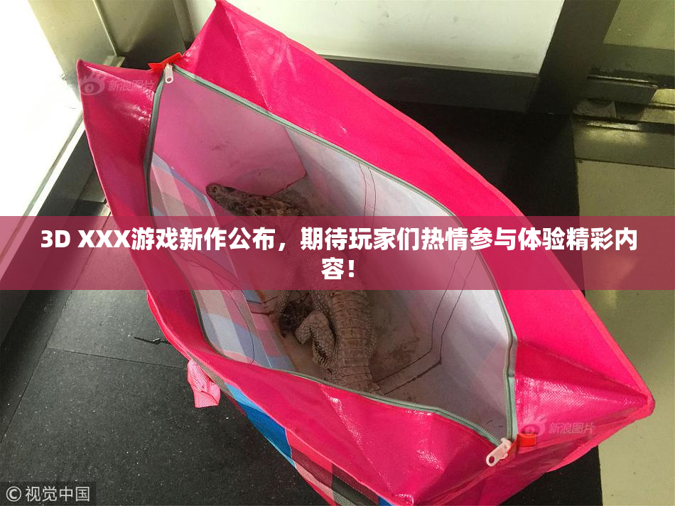 3D XXX游戏新作公布，期待玩家们热情参与体验精彩内容！