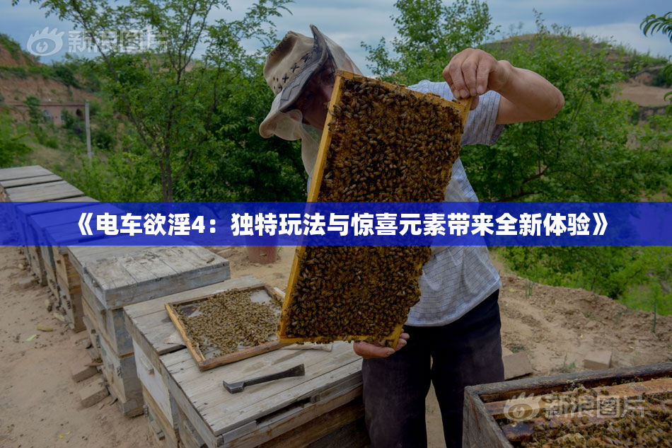 《电车欲淫4：独特玩法与惊喜元素带来全新体验》