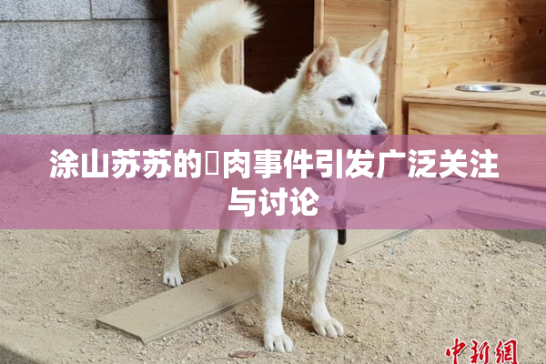 涂山苏苏的婬肉事件引发广泛关注与讨论