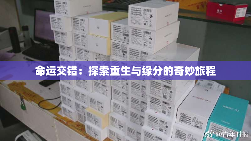 命运交错：探索重生与缘分的奇妙旅程